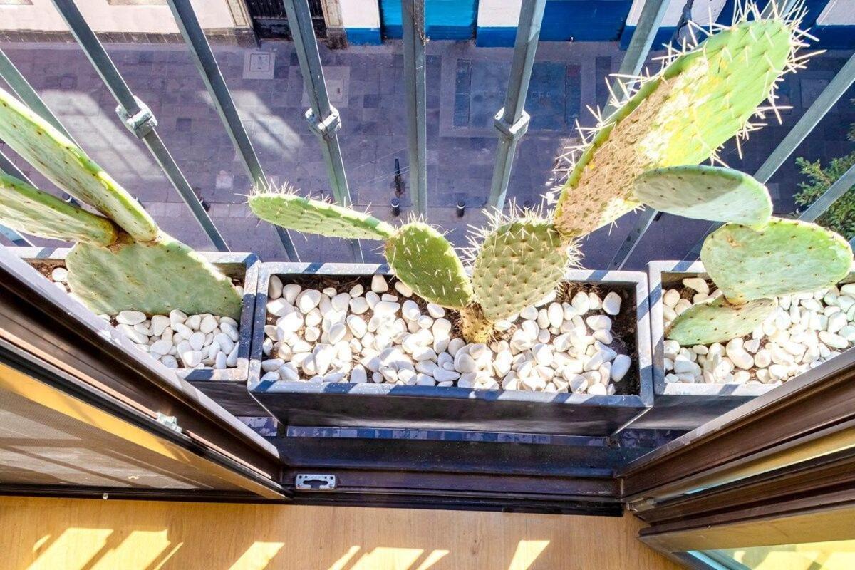 Ferienwohnung Loft Boho En El Centro Historico Imperdible Mexiko-Stadt Exterior foto